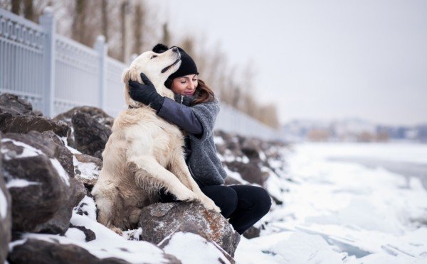 Зима, холода, все как будто изо льда — самые мерзлявые породы собак, которым зимой точно нужна курточка