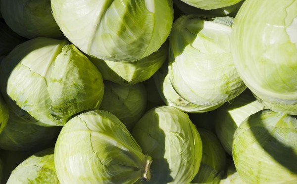 Капуста против авокадо — продажные нутрициологи советуют тратить тысячи на заморский фрукт-овощ, а ведь польза была у нас на грядке