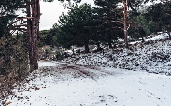 Скользкий участок дороги — реальная ситуация, в которой ошибка может стоить жизни: на экзамене 29 из 100 идут на пересдачу