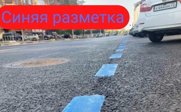 Чтобы не было путаницы на дороге — разбираемся раз и навсегда: что означает синяя разметка