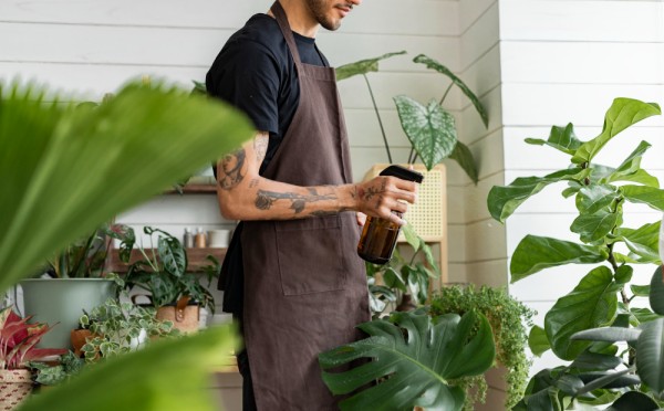 Таблетки за 45 рублей для сада будут эффективней множества подкормок: запомните это чудо-средство