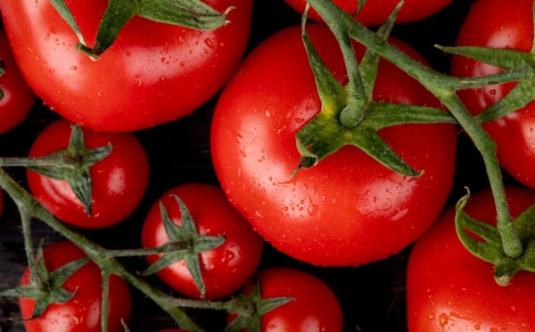 Годами поливала неправильно: нашла способ вырастить крепкую рассаду томатов — ни разу не пожалела