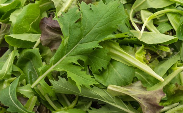 Маленький аптекарь в вашем саду: никакой возни, только сплошная польза