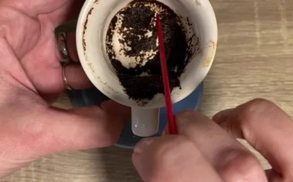 Не выбрасывайте кофейную гущу: 3 комнатных растения, которые начнут расти как на дрожжах после «чёрной» подкормки»