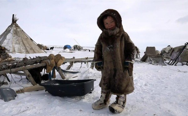 Еда как способ выживания: чем питаются жители тундры зимой — когда до ближайшего магазина сотни километров