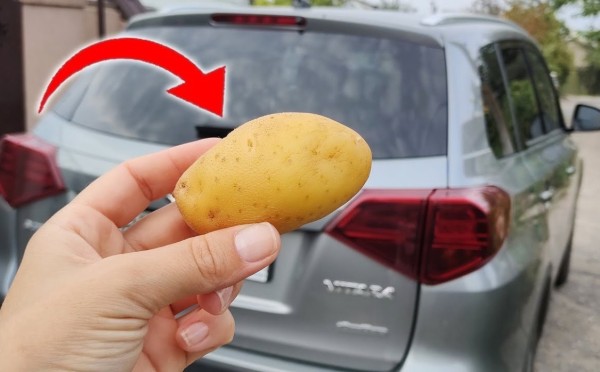 Дедовский способ превзошёл все ожидания: натёр стекло машины картошкой — и никакой «антидождь» не нужен