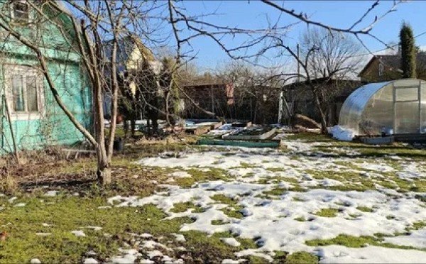 Без этого номера дачу не оформят: Росреестр ввёл новые правила для регистрации строений с 1 февраля 2026 года