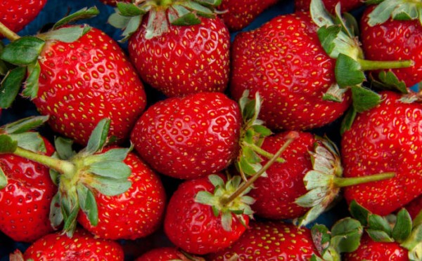 Секрет роста и сочности: чудо-коктейль поможет клубнике преобразиться — вы о таком и не знали