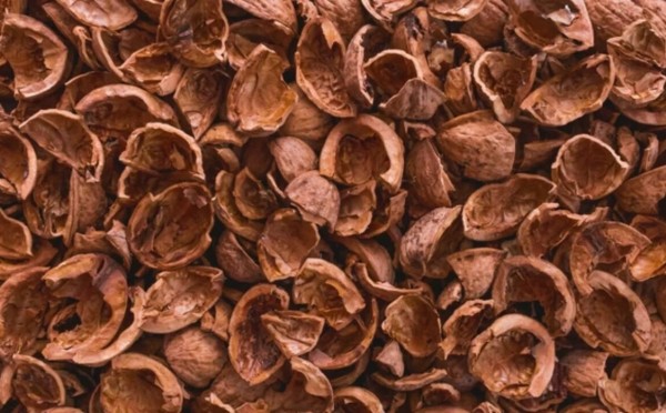 Не выкидывайте — это вам не мусор: в чём польза скорлупы от грецких орехов