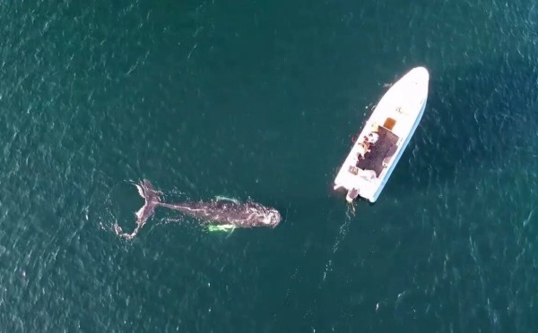 Маленький холодный рай: 3 места на Севере России — куда хочется возвращаться снова и снова