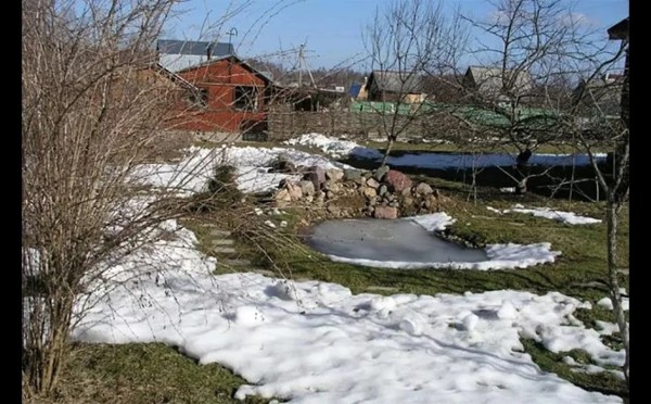 Не проспите урожай: 5 обязательных дел в саду, которые нужно успеть сделать до середины марта