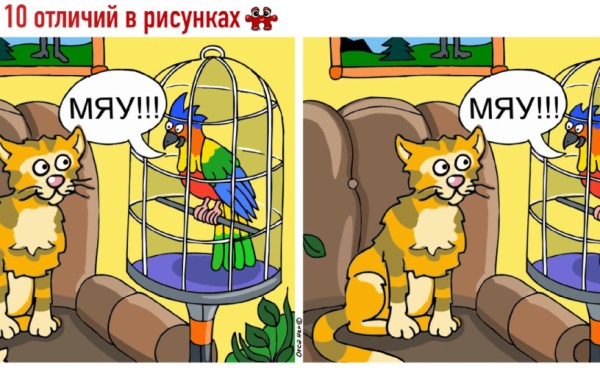 Тест на внимательность: найдите 10 отличий на картинке с говорящим попугаем, которые ставят в тупик даже отличников