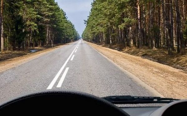 Вопрос с разметкой — не заградительная стена, а ловушка на внимательность: проверку знаний не прошли 39% отвечавших на экзамене по ПДД