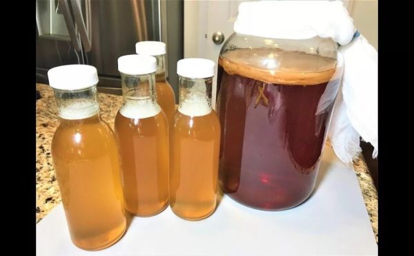 Старый новый напиток: польза и вред чайного гриба — и есть ли отличия от модной комбучи