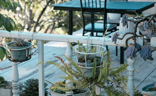 Спасите домашний урожай — как позаботиться о рассаде в марте-апреле, чтобы растения не пострадали, лайфхак на 5 минут