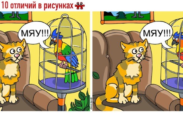 Тест на внимательность: найдите 10 отличий на картинке с говорящим попугаем, которые ставят в тупик даже отличников