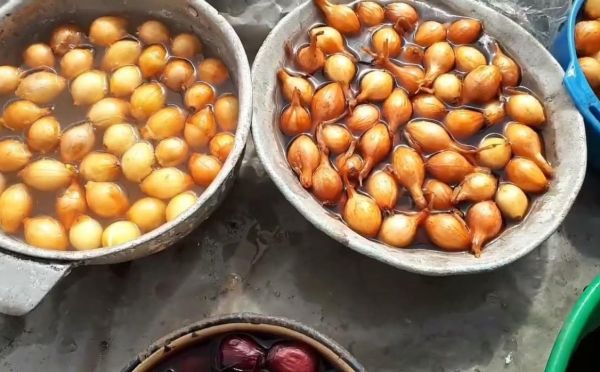 Гниль и стрелки теперь обходят стороной: готовлю лук-севок по проверенной схеме — работает на все 100%