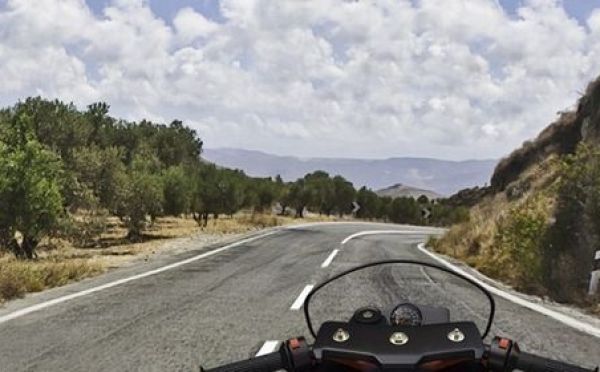 Таможня даёт добро — экзамен нет: как ни странно, 36% на экзамене по ПДД ответили неверно