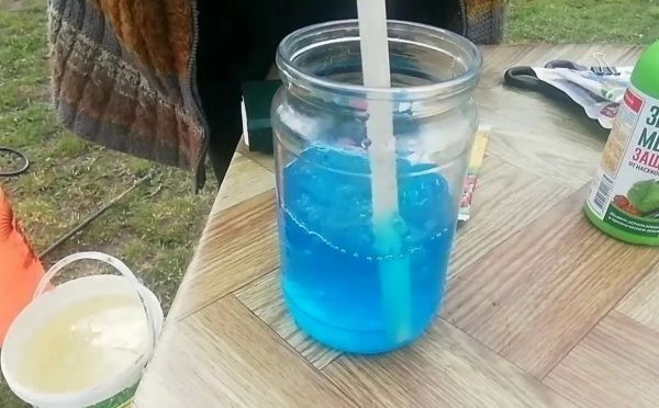 Не сожгите свой сад: главные отличия медного купороса от бордоской смеси, которые должен знать каждый