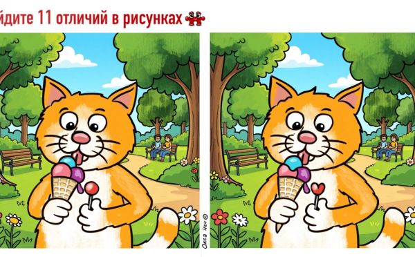 Кошачий дзен: найдите 11 отличий на картинке за 60 секунд, если вы по-настоящему внимательны