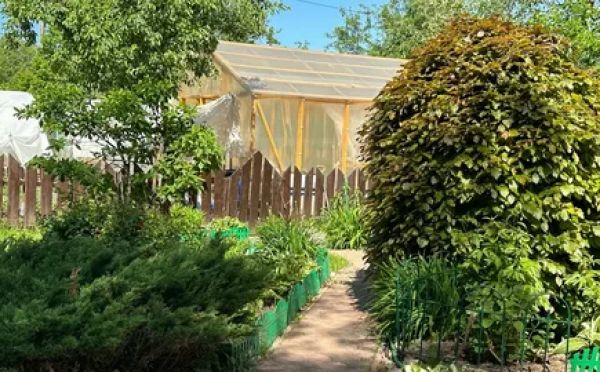 Майский марафон на даче: что посадить в первую очередь и как спасти будущий урожай от вредителей