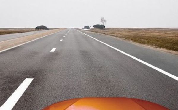 На трассе просто так не тормозят — свобода заканчивается у обочины: лавочка под ёлочкой не привлекла 33% сдававших экзамен по ПДД