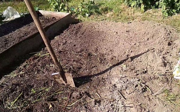 Фундамент для урожая: как подготовить почву к посадкам — питание и оздоровление
