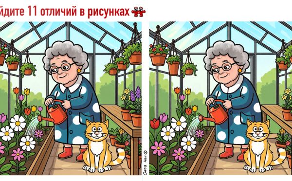Загадка для самых зорких: найдите 11 отличий на картинке в теплице за 45 секунд
