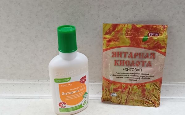 Природный стимулятор или деньги на ветер: нужна ли растениям янтарная кислота — и что она даёт