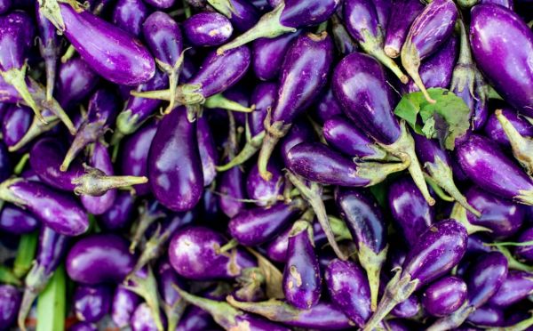 Спасти рядового Баклажана — если рассада капризничает, скорее всего, дело в одной из этих 5 причин