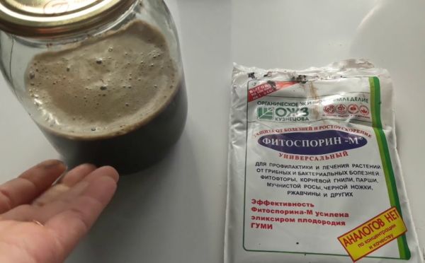 Универсальное средство от болезней: как правильно приготовить Фитоспорин-М для растений