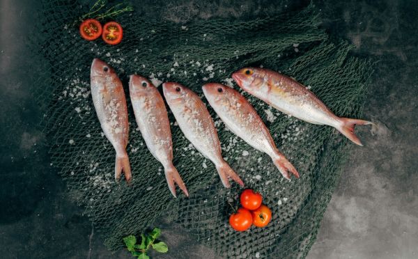 Форшмак как от Бога — очень вкусный и простой рецепт на любой праздник или просто так