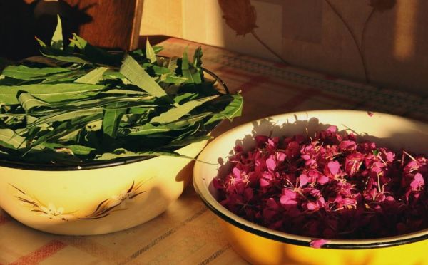 Вместо обычного пакетированного чая завариваю этот: полезнее и вкуснее