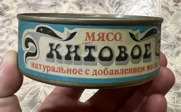 Котлеты из кита в школьных столовых СССР: что ещё делали из гигантов