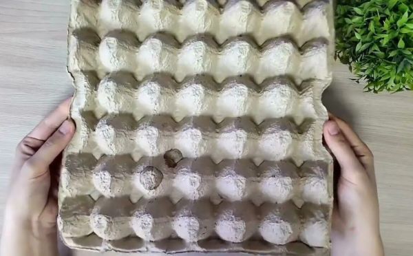 Лотки из-под яиц не выбрасываю: 5 гениальных трюков с картоном — спасают семейный бюджет