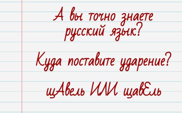А вы точно знаете русский язык? «Щавель» — куда падает ударение в этом слове?