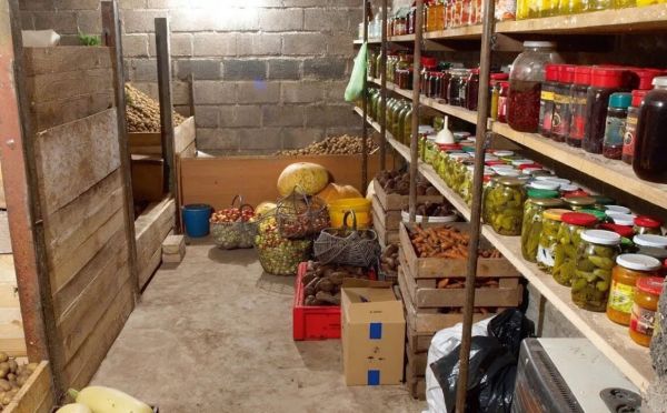 Как убрать сырость и плесень в погребе: рабочий способ с копеечным продуктом сделает его сухим