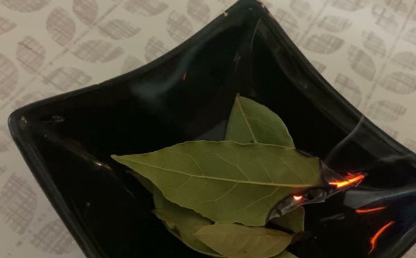 Жгу лавровый лист в квартире и на даче: 5 причин, которые помогают от насекомых и запахов