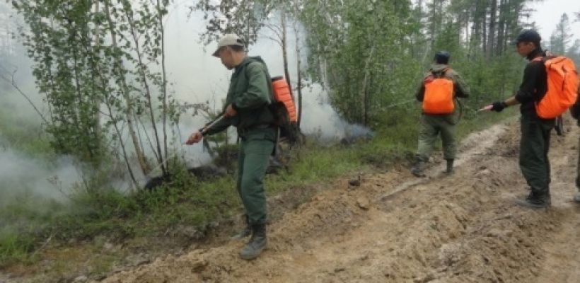 В Якутии действуют 43 лесных пожара