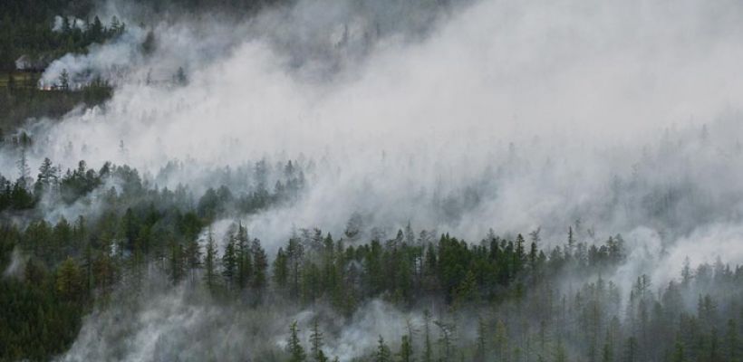 В Якутии действуют первые природные пожары