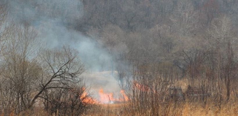 Лесной пожар в Олекминском районе остановлен