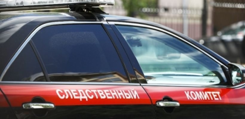 По факту нападения собак на ребенка в Олекминске организована процессуальная проверка