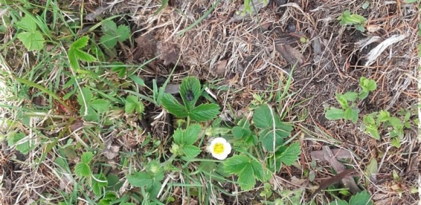 С 1 марта вступает в силу закон об освоении земельных участков