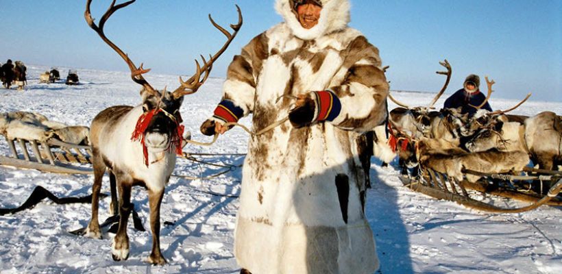 Изучение климата, геологоразведка и сохранение экологии: Александр Козлов рассказал о работе Минприроды в Арктике