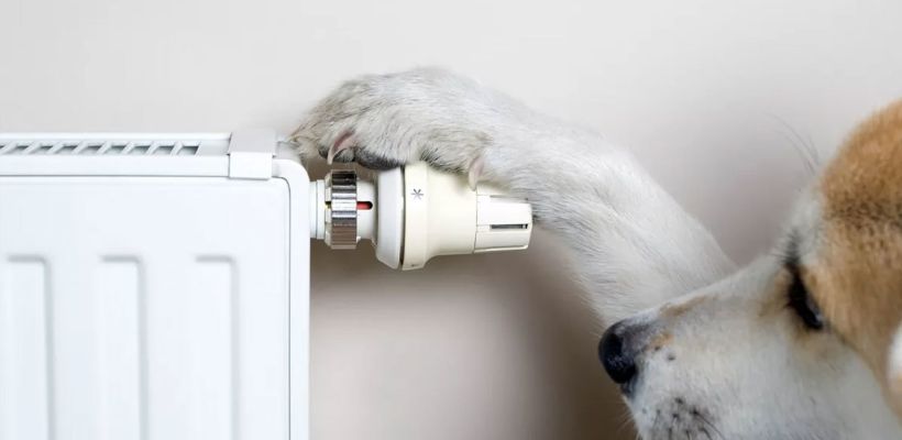 Жители Якутска жалуются на жару в квартирах — В ЯТЭЦ объяснили, почему не могут снизить подачу тепла