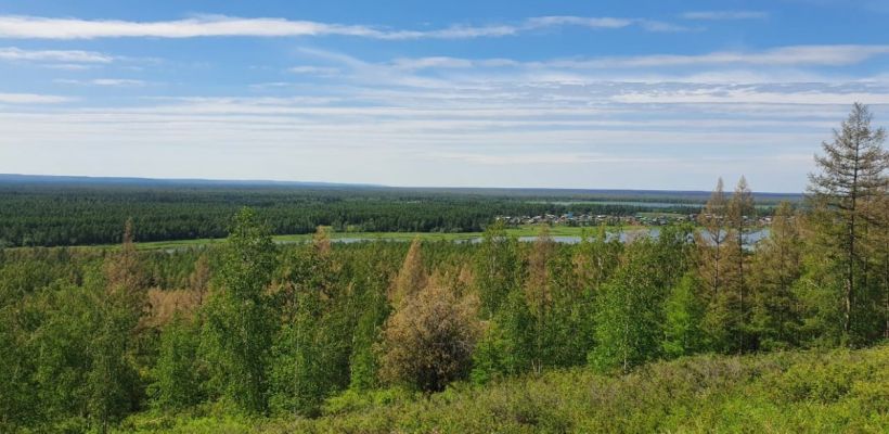 Почему люди теряются в лесу? Между реальностью и потусторонним