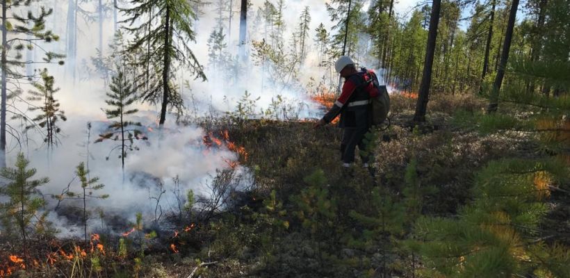 В Якутии сформировался самый высокий класс пожарной опасности в лесах