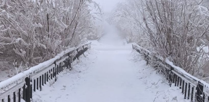 «Криминальных улиц в Якутске нет»