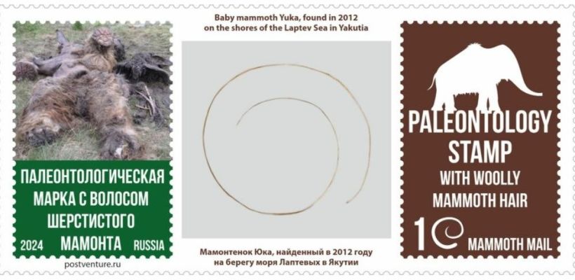 В Якутии выпустили первую в мире марку с волосом мамонта