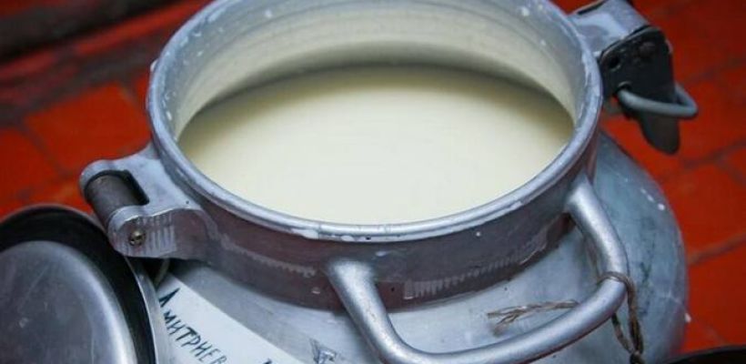 В Якутии увеличили размеры субсидий на молоко и содержание коров